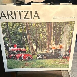 Aritzia paper shopping bag